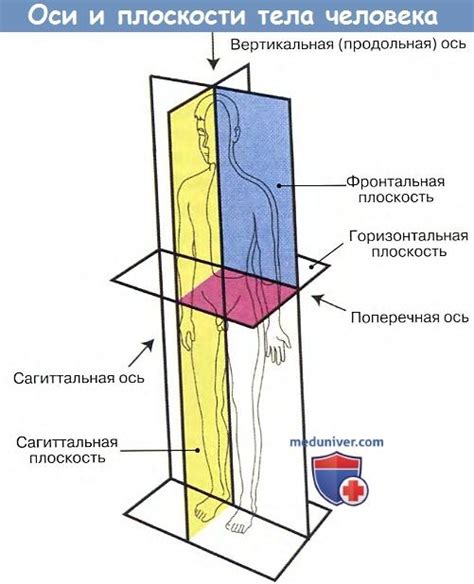 Покорение человека: что это значит?