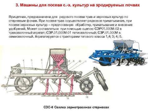 Полезность ситничка для земледелия