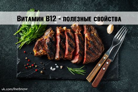 Полезные свойства витамина В12