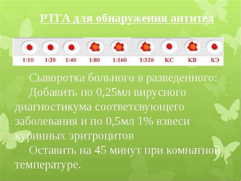 Полезные свойства парных сывороток