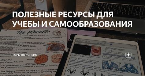 Полезные стратегии для самообразования: