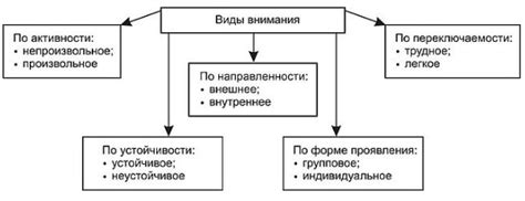 Полимеризация: основные виды и механизмы