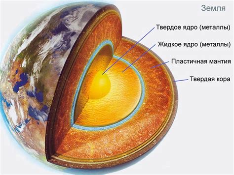 Полиморфное ядро: что это и как оно работает?