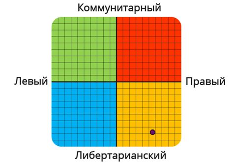 Политические взгляды и активность