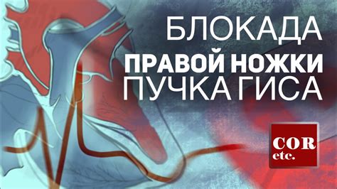 Политические последствия неполной блокады ПНПГ