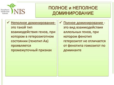 Полное доминирование признака: понятие и его значение