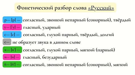 Полный фонетический разбор: суть и принципы