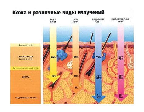 Положительное воздействие банного жара на кожу