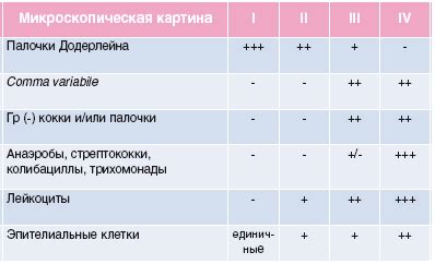 Положительное значение бациллярной флоры