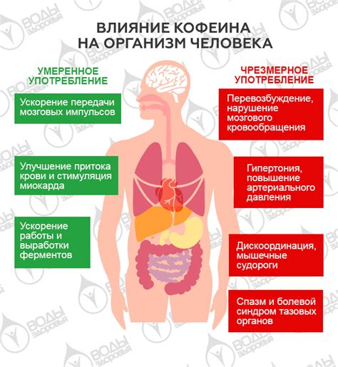 Положительные эффекты безводного кофеина