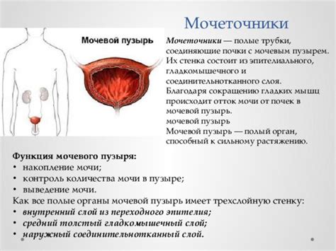 Полые трубки и их назначение