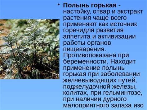 Полынь - источник запаха