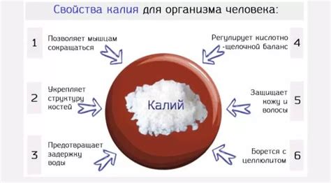 Польза глутамата калия для организма