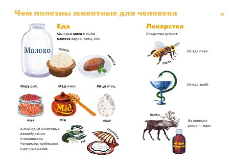 Польза открытого канала для человека