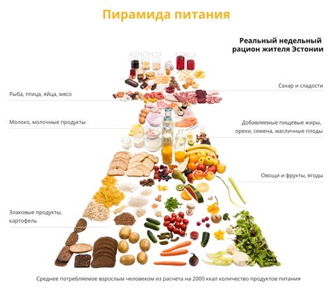 Польза правильно организованного питания