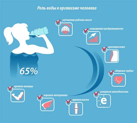 Польза чистой воды для органов и систем организма