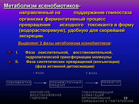 Помощь ферментов при пищеварительных нарушениях