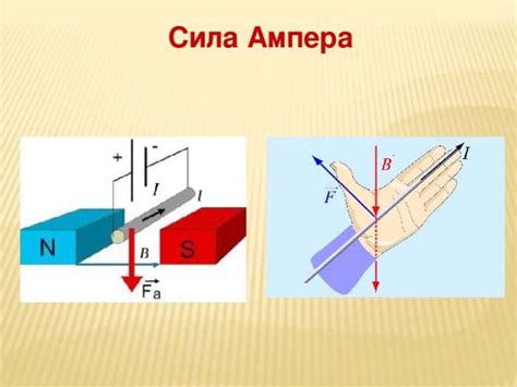 Понятие "койлинг левой вса"