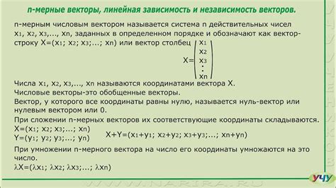 Понятие "линейная независимость": смысл и определение