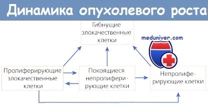 Понятие "разнонаправленная динамика"