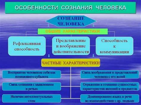 Понятие бенефициара и его роль