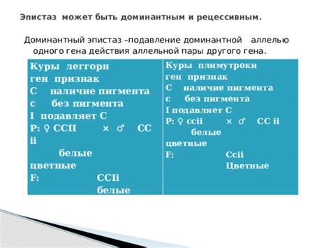 Понятие доминантной и рецессивной аллельной пары