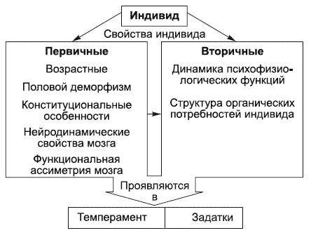 Понятие индивида