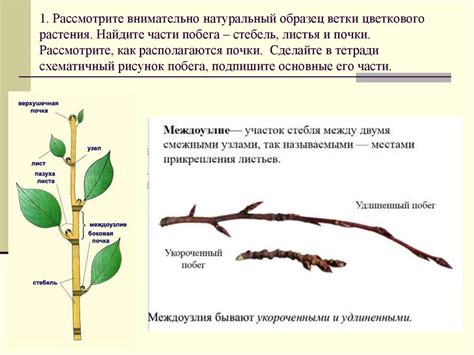 Понятие и значение базовой ветки в процессе мержа