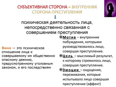 Понятие и значение экспрессии стромы