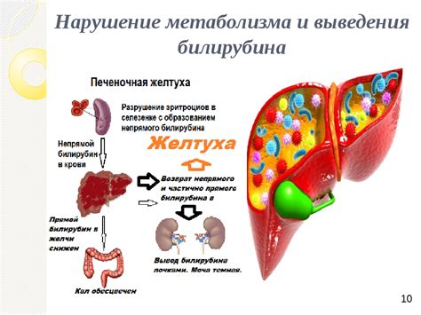 Понятие и причины нарушения метаболизма