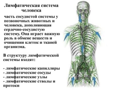 Понятие лимфостазы ДПК