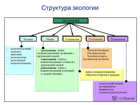 Понятие нравственной экологии