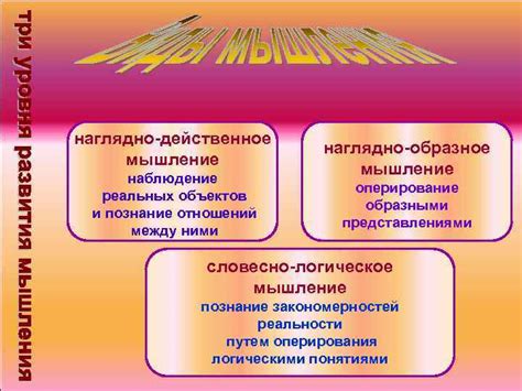 Понятие отражения действительности в языке