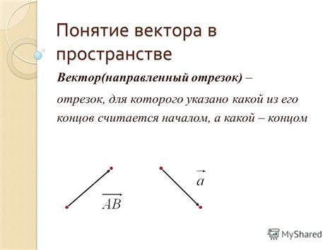 Понятие пет-вектора