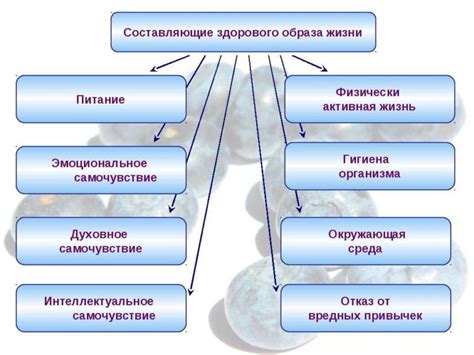 Понятие порядка в жизни