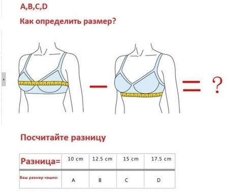 Понятие размера чашечек