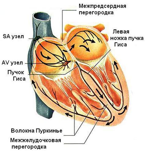 Понятие сердечной тоски и ее значения