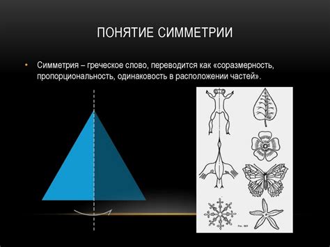 Понятие симметрии и ее значение