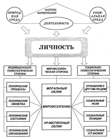 Понятие структуры человека