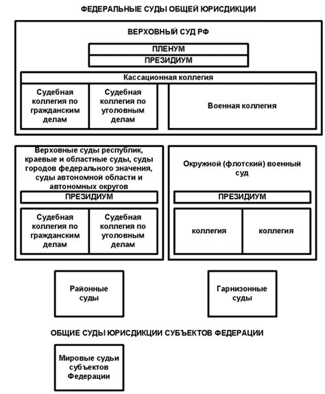 Понятие судов общей юрисдикции