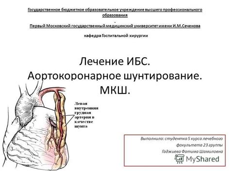 Понятие шунтирования и принцип его работы