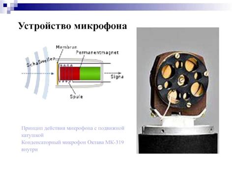 Популярность и распространение броска микрофона