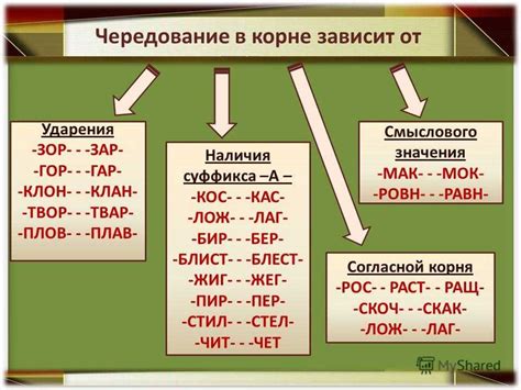 Популярность и распространение выражения "не мороси"