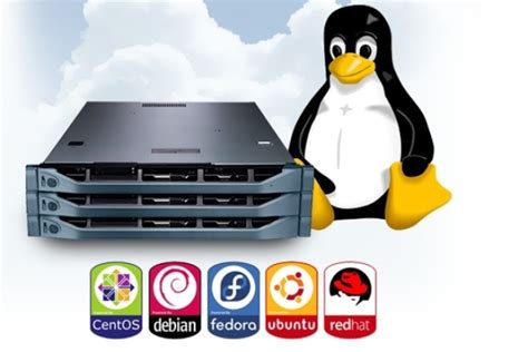 Популярные дистрибутивы Linux для сервера