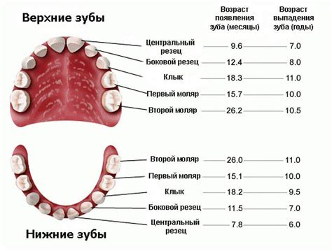 Последствия безвременного выпадения зубов: