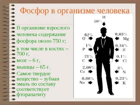 Последствия дефицита и избытка фосфора в организме