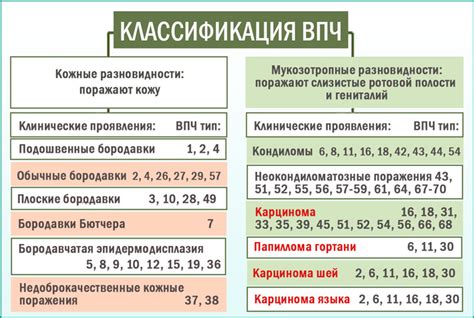 Последствия и осложнения при заражении ВПЧ 51