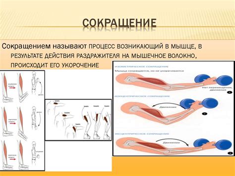 Последствия недостаточного сокращения мышц