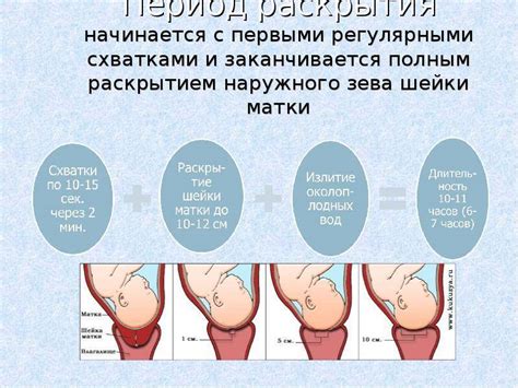 Последствия незрелой матки при родах