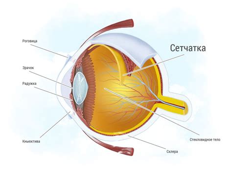 Последствия отслаивания сетчатки глаза
